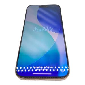 Apple (アップル) iPhone15 Pro MTUF3J/A