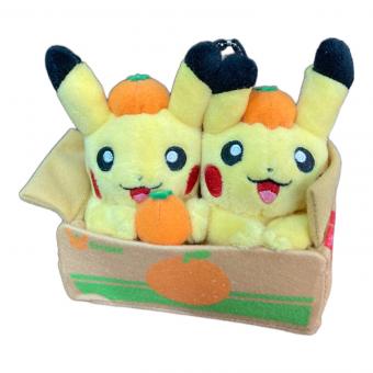 Pokemon Center (ポケモンセンター) ペアピカチュウとえひめみかん マスコット