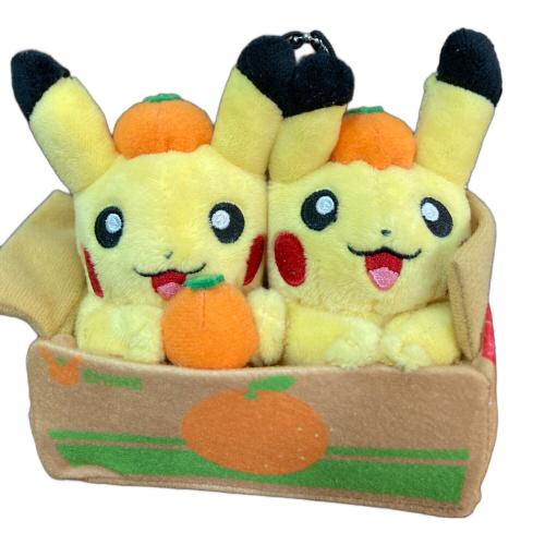 Pokemon Center (ポケモンセンター) ペアピカチュウとえひめみかん マスコット
