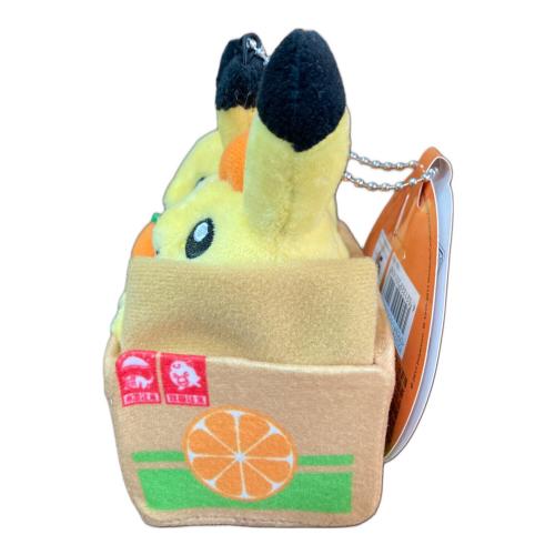 Pokemon Center (ポケモンセンター) ペアピカチュウとえひめみかん マスコット