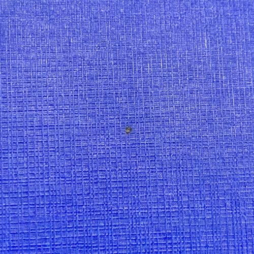 Herend (ヘレンド) アポニーグリーン オーバルディッシュ