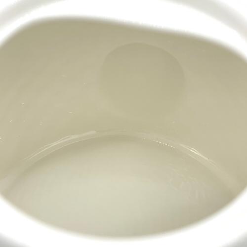 Wedgwood (ウェッジウッド) ティーポット ナイト&デイ