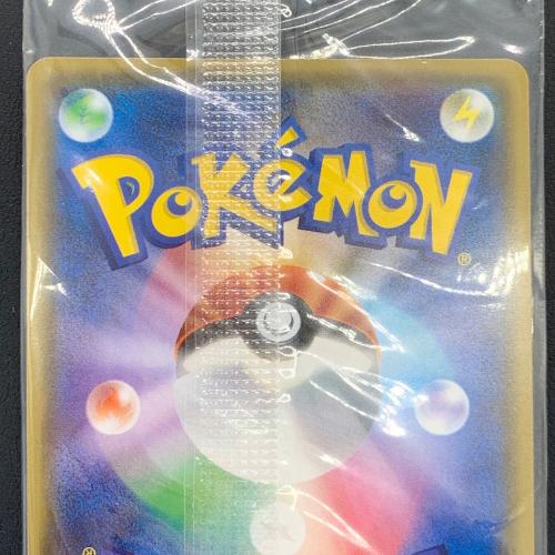 ポケモンカード ポンチョを着たイーブイ 139/SM-P Promo ブースター