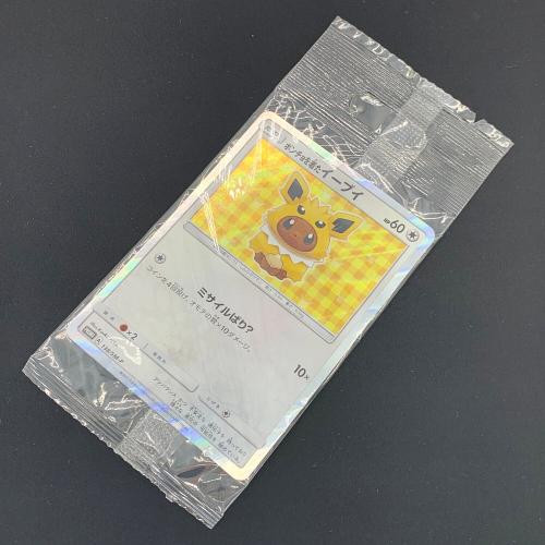 ポケモンカード ポンチョを着たイーブイ 138/SM-P Promo サンダース