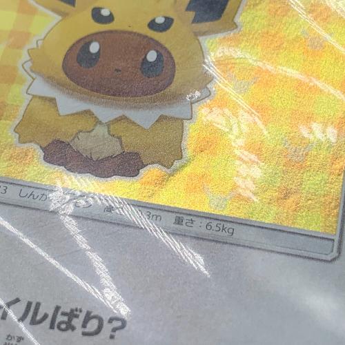 ポケモンカード ポンチョを着たイーブイ 138/SM-P Promo サンダース