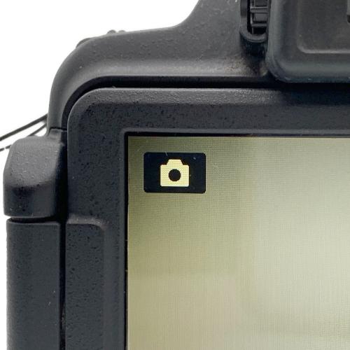 Nikon (ニコン) COOLPIX P520 デジタルカメラ