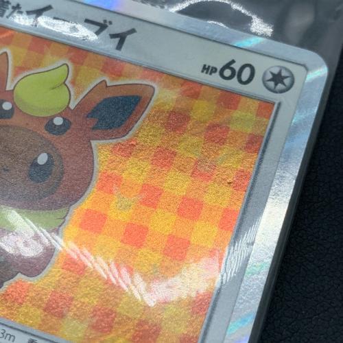 ポケモンカード ポンチョを着たイーブイ 139/SM-P Promo ブースター