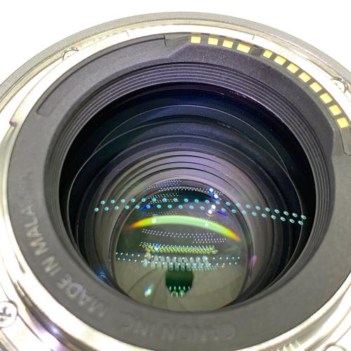 CANON (キヤノン) RF85mm F2 MACRO IS STM 単焦点レンズ