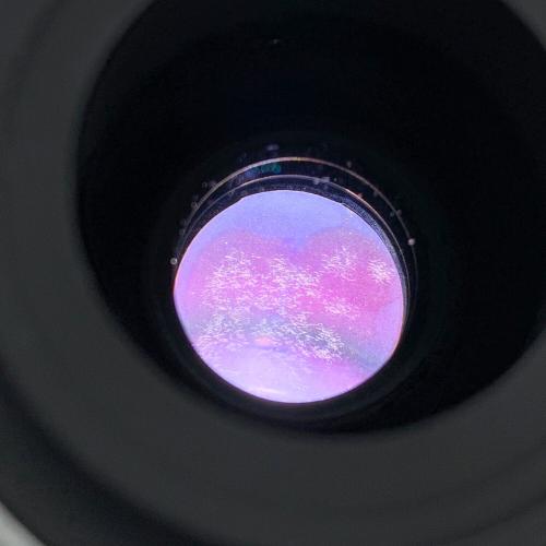 Nikon (ニコン) AF Zoom NIKKOR 24-50mm F3.3-4.5D 広角ズームレンズ