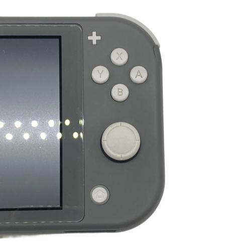 Nintendo (ニンテンドー) Nintendo Switch Lite HDH-001