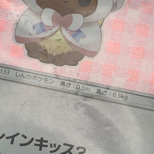 ポンチョを着たイーブイ ポケモンカード 144/SM-P Promo ニンフィア