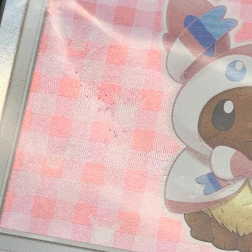 ポンチョを着たイーブイ ポケモンカード 144/SM-P Promo ニンフィア