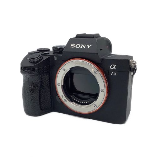 SONY ミラーレス一眼カメラ ILCE-7M3 2530万画素 専用電池 SDカード ...