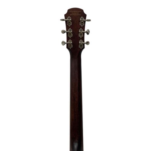 AriaDreadnought (アリアドレッドノート) エレアコギター AF-101MHE N