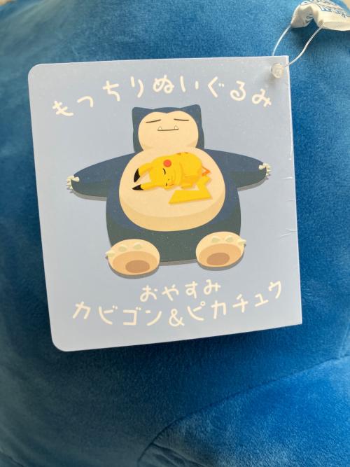 Pokemon Center (ポケモンセンター) もっちりぬいぐるみ おやすみカビゴン&ピカチュウ Pokemon Sleep