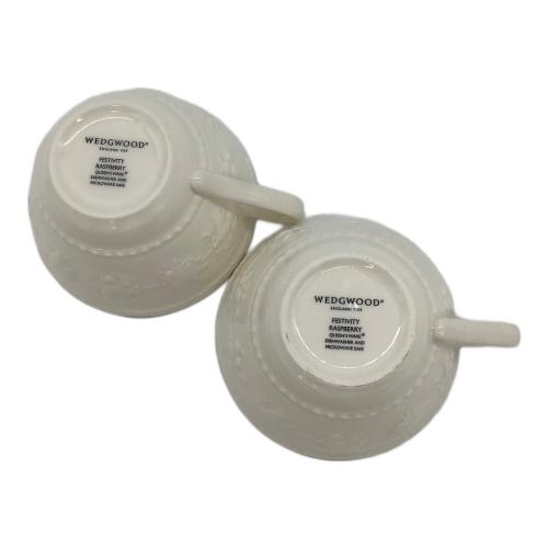Wedgwood (ウェッジウッド) カップ&ソーサー＆プレートセット 箱付 フェスティビティー 2Pセット