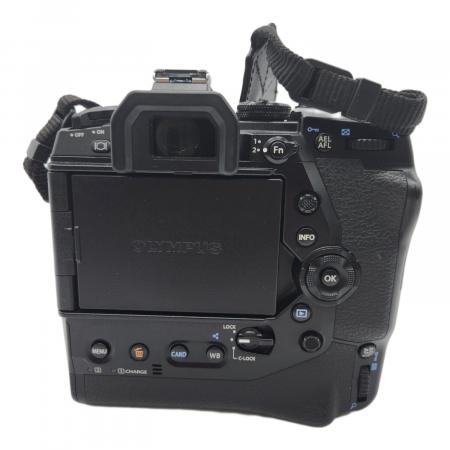 ミラーレス一眼カメラ　OLYMPUS　OM-D　E-M1X　ボディー オリンパス OM-D E-M1X レビュー｜持てる力を全て注ぎ込んだプロ