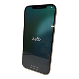 Apple (アップル) iPhone12 Pro Max NGD13J/A 256GB