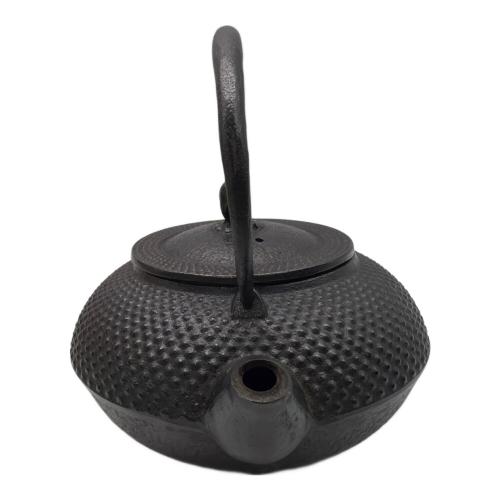 南部鉄器 (ナンブテッキ) 急須 南部鉄 急須 丸アラレ 0.5L