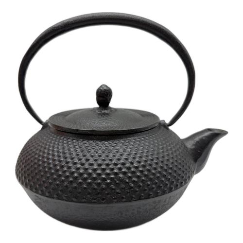 南部鉄器 (ナンブテッキ) 急須 南部鉄 急須 丸アラレ 0.5L