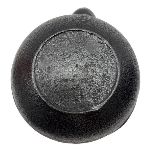 南部鉄器 (ナンブテッキ) 急須 南部鉄 急須 丸アラレ 0.5L