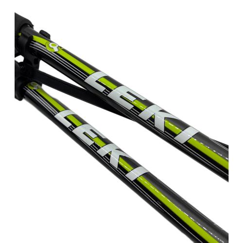 LEKI (レキ) トレッキングポール quantum