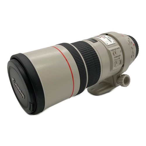 CANON (キャノン) 単焦点レンズ IMAGE STABILIZER ULTRASONIC LENS EF 300mm F:1.4 キャノンマウント 108080