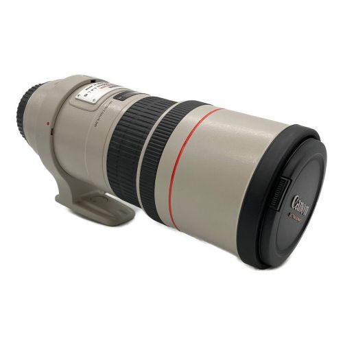 CANON (キャノン) 単焦点レンズ IMAGE STABILIZER ULTRASONIC LENS EF 300mm F:1.4 キャノンマウント 108080