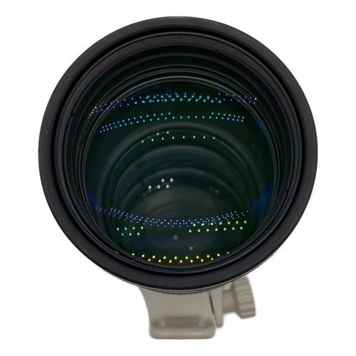 CANON (キャノン) 単焦点レンズ IMAGE STABILIZER ULTRASONIC LENS EF 300mm F:1.4 キャノンマウント 108080