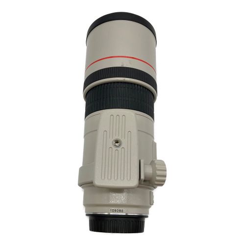 CANON (キャノン) 単焦点レンズ IMAGE STABILIZER ULTRASONIC LENS EF 300mm F:1.4 キャノンマウント 108080