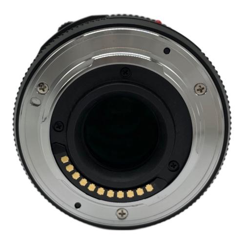 Panasonic (パナソニック) レンズ H-PS45175 -