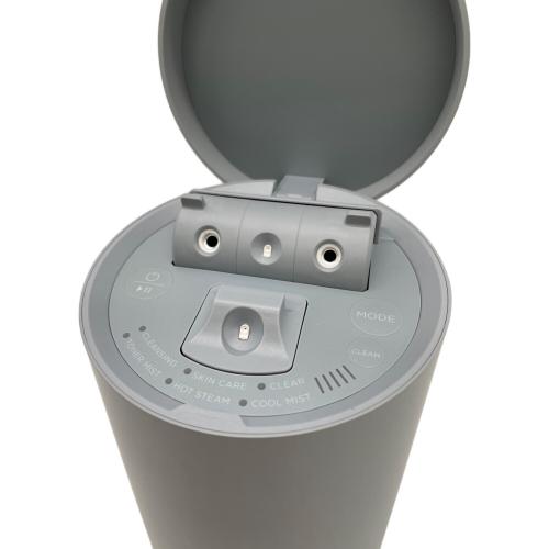 SALONIA (サロニア) ピュアブライトスチーマー SAL22207SL