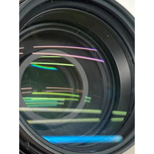 Nikon (ニコン) ズームレンズ AF-S NIKKOR 70-300mm 4.5-5.6G ニコンFマウント -