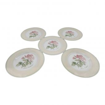 Villeroy&Boch (ビレロイアンドボッホ) プレート 5Pセット