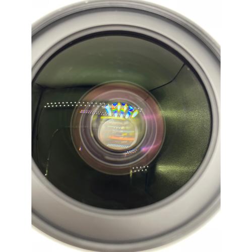 Nikon (ニコン) デジタル一眼レフカメラ D750 レンズ(AF-S NIKKOR 24-70mm f/2.8G ED)