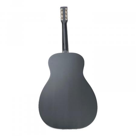GRETSCH (グレッチ) Jim Dandy アコースティックギター G9500