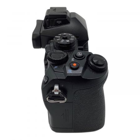 OLYMPUS (オリンパス) ミラーレス一眼カメラ 画面割れ有 E-M1