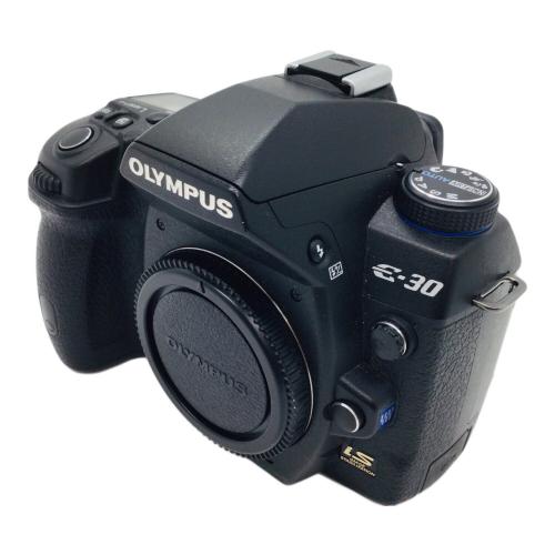 OLYMPUS (オリンパス) デジタル一眼レフカメラ E-30 1310万画素(総画素) フォーサーズ 専用電池 コンパクトフラッシュ対応 100～3200 -