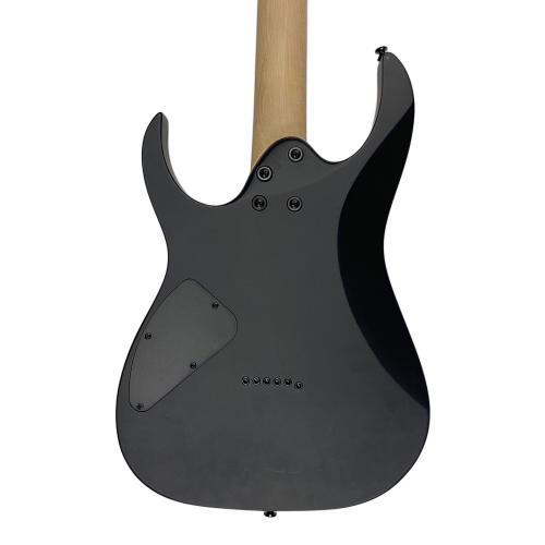 IBANEZ (アイバニーズ) エレキギター RG421EX 動作確認済み 210917228