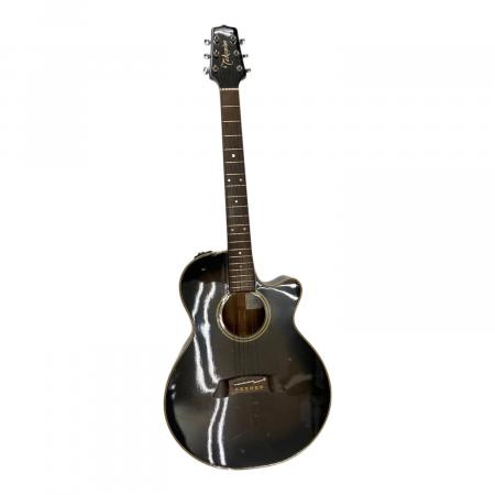Takamine (タカミネ) エレアコギター PT-106｜トレファクONLINE