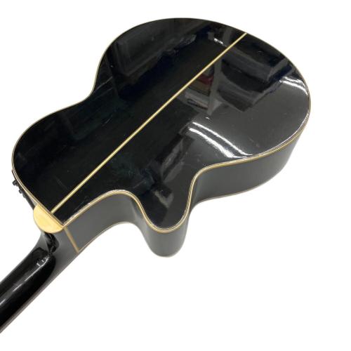 Takamine (タカミネ) エレアコギター PT-106