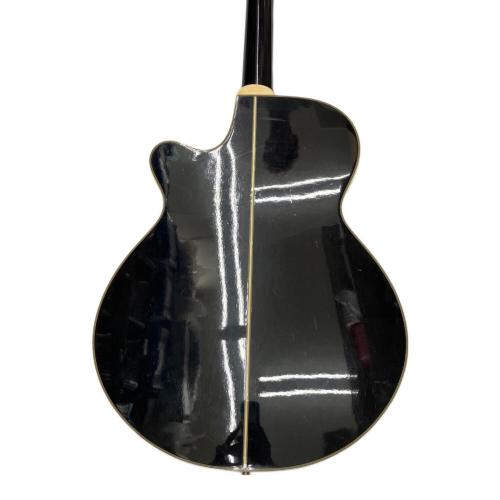 Takamine (タカミネ) エレアコギター PT-106