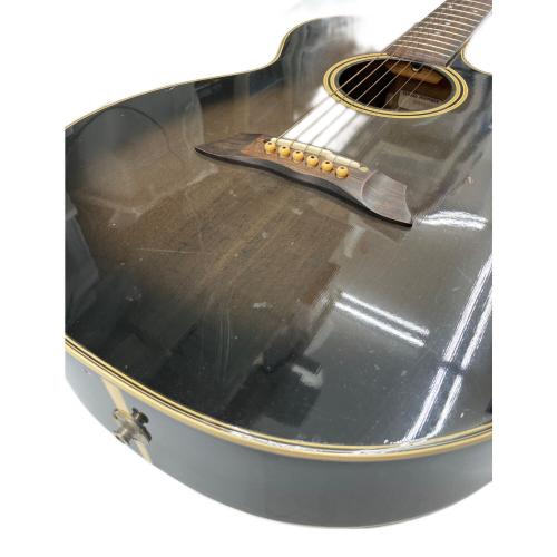 Takamine (タカミネ) エレアコギター PT-106