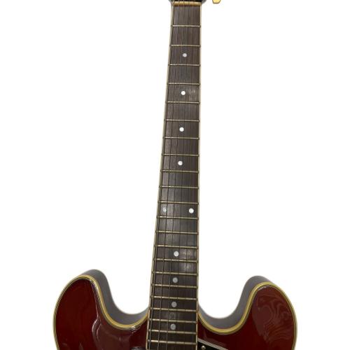 F&G Daniels セミアコギター ※ハードケース付き