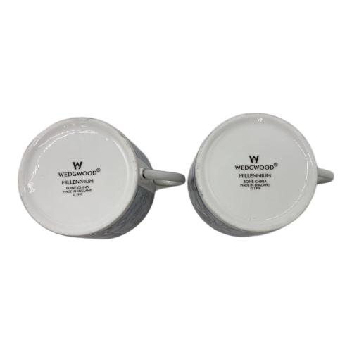 Wedgwood (ウェッジウッド) カップ&ソーサー ミレニアム 21世紀 2Pセット