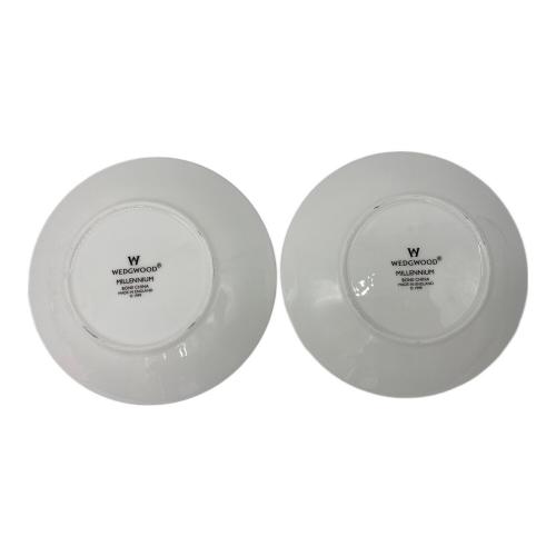 Wedgwood (ウェッジウッド) カップ&ソーサー ミレニアム 20世紀 2Pセット