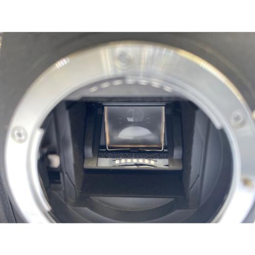 Nikon (ニコン) デジタル一眼レフカメラ D40