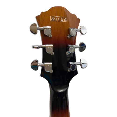 IBANEZ (アイバニーズ) エレアコギター AF75-BS