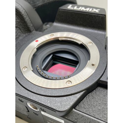 Panasonic (パナソニック) デジタル一眼レフカメラ DC-G99D