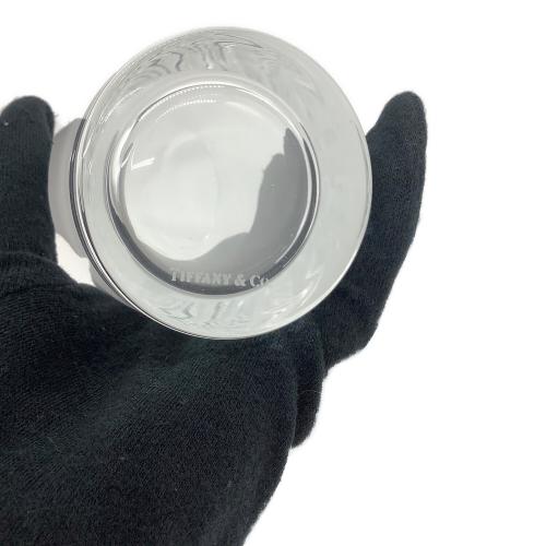 TIFFANY & Co. (ティファニー アンド コー) グラス ▲ スウィング HB